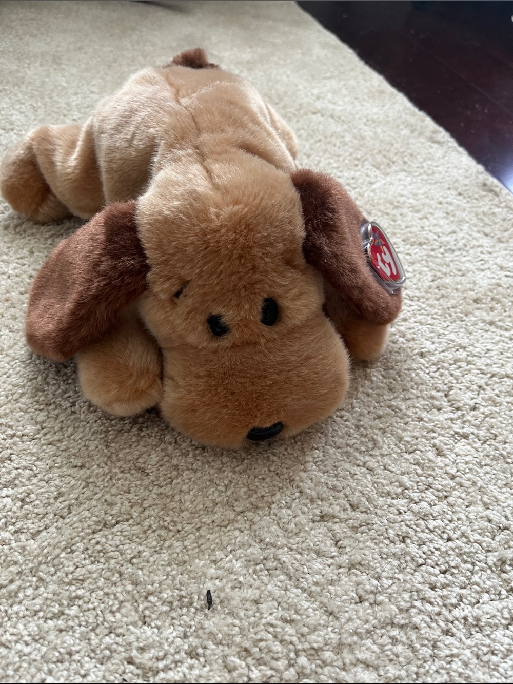 Ty plush